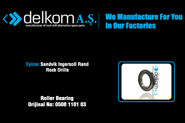 Dönüş Grubu Şaft Rulmanı